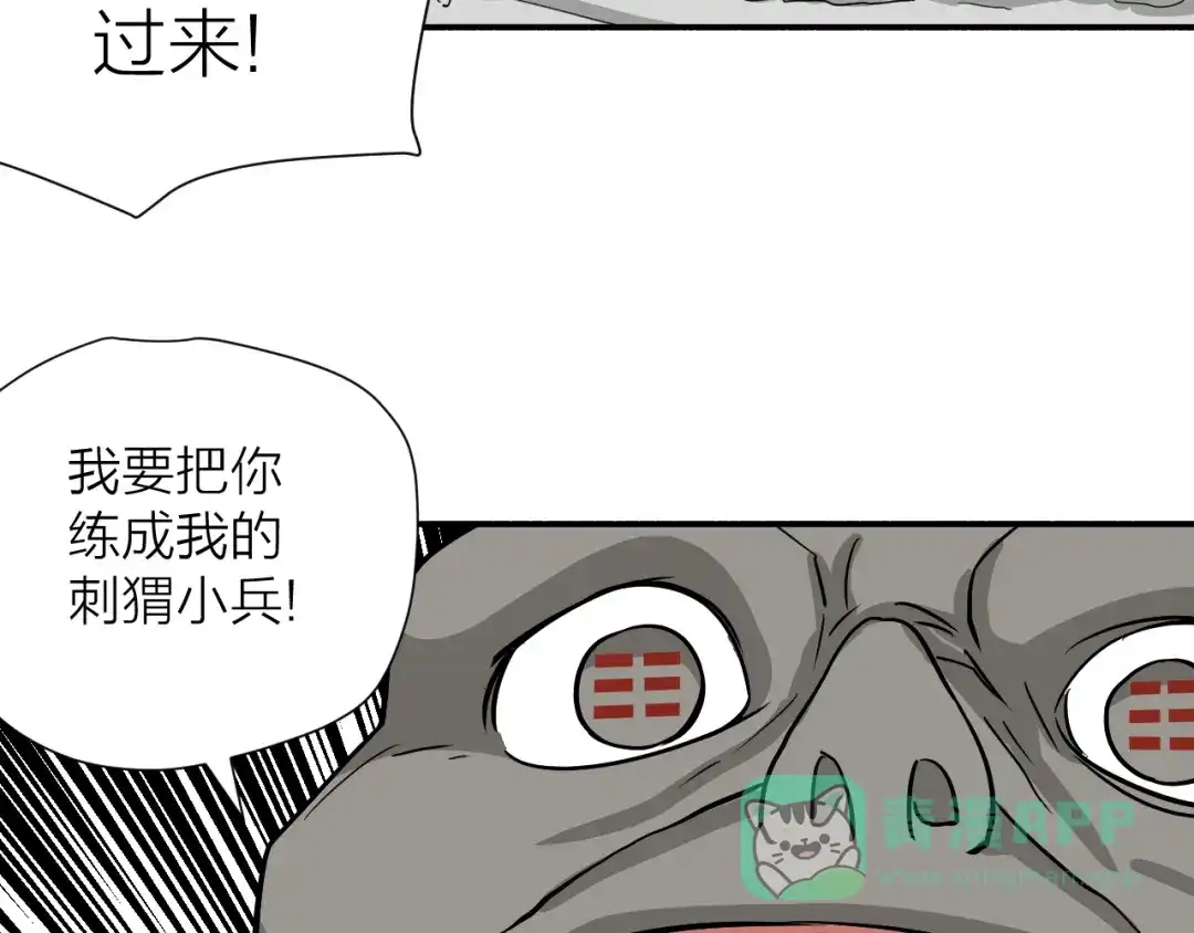 《卦象风云》第19话 刺猬人 第36页