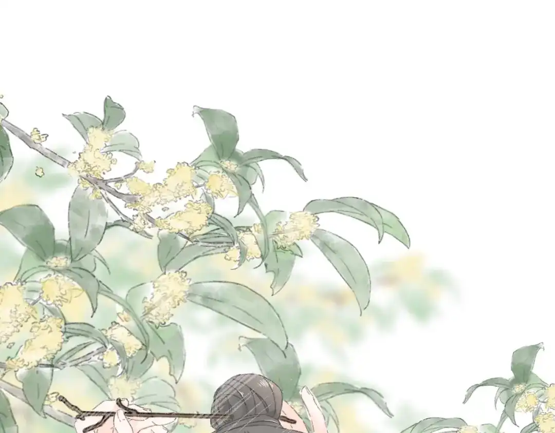 《桂花遗》第一话 穿越 第3页