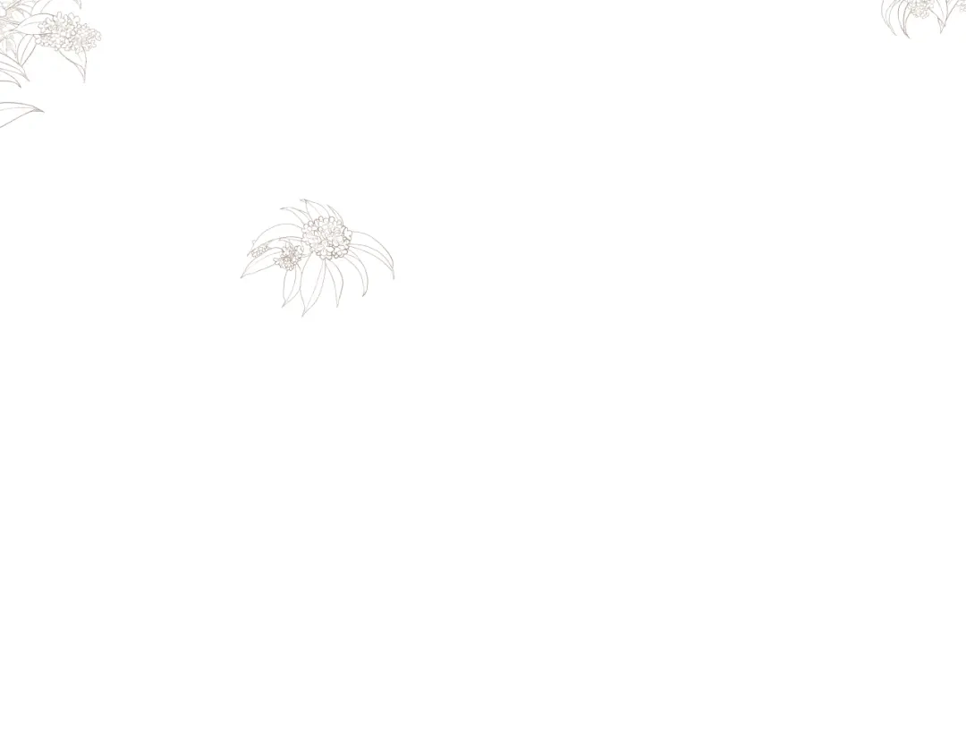 《桂花遗》第三话 司樗 第83页
