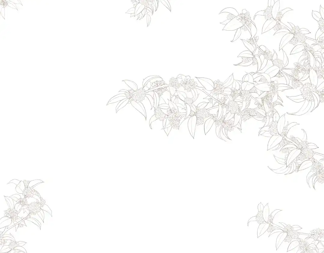 《桂花遗》第三话 司樗 第82页