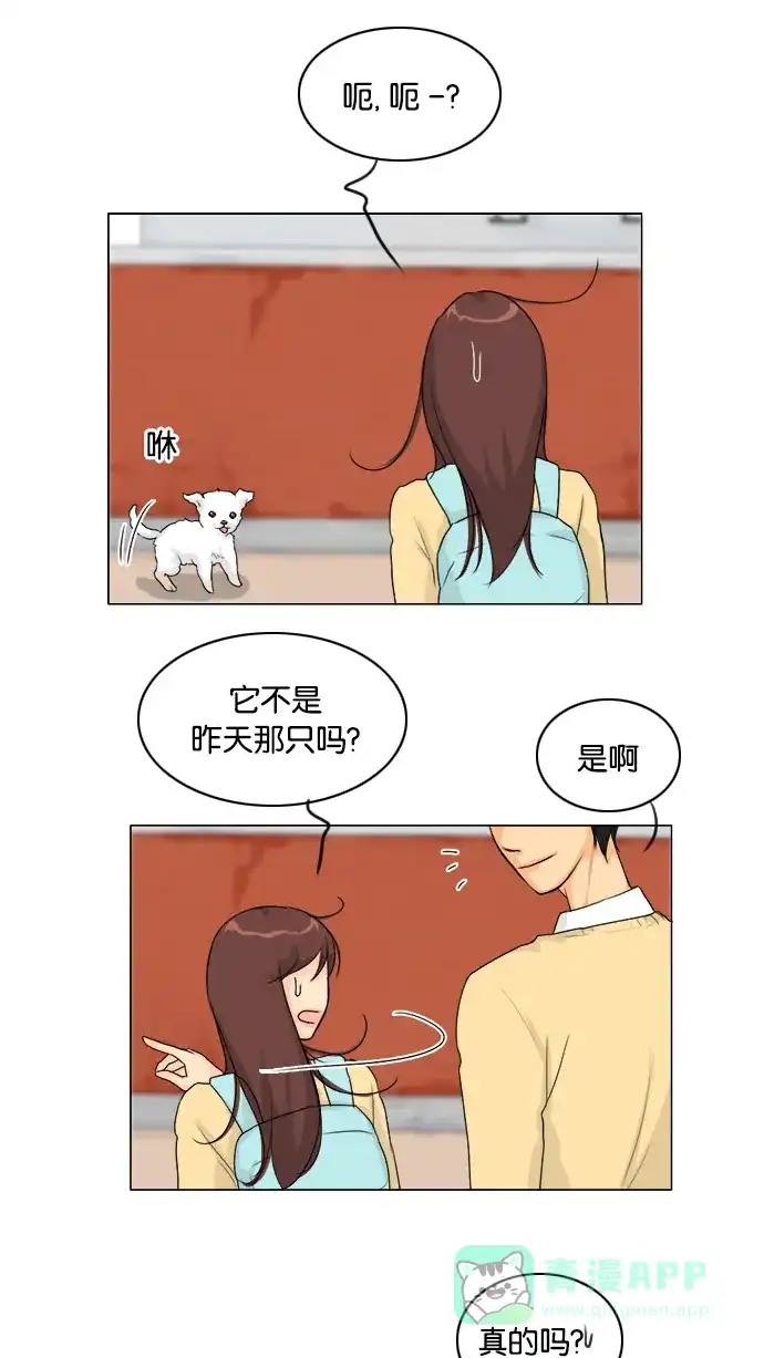《鬼新娘》第101话 第32页
