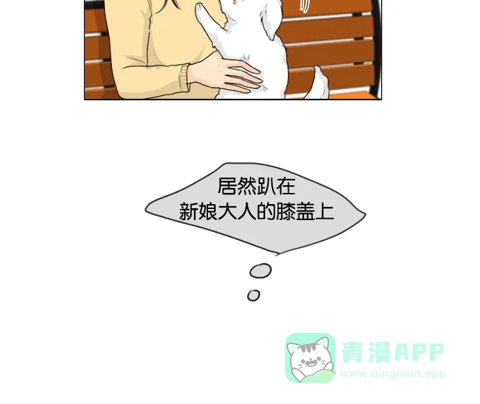 《鬼新娘》第101话 第43页