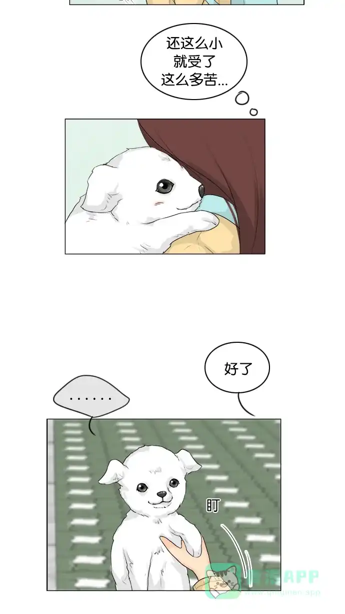 《鬼新娘》第106话 第28页