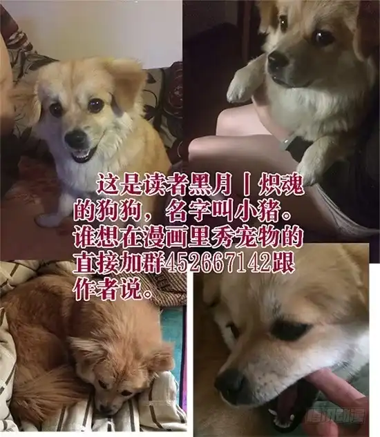 《鬼斩神杀》26：鬼与狗 第9页