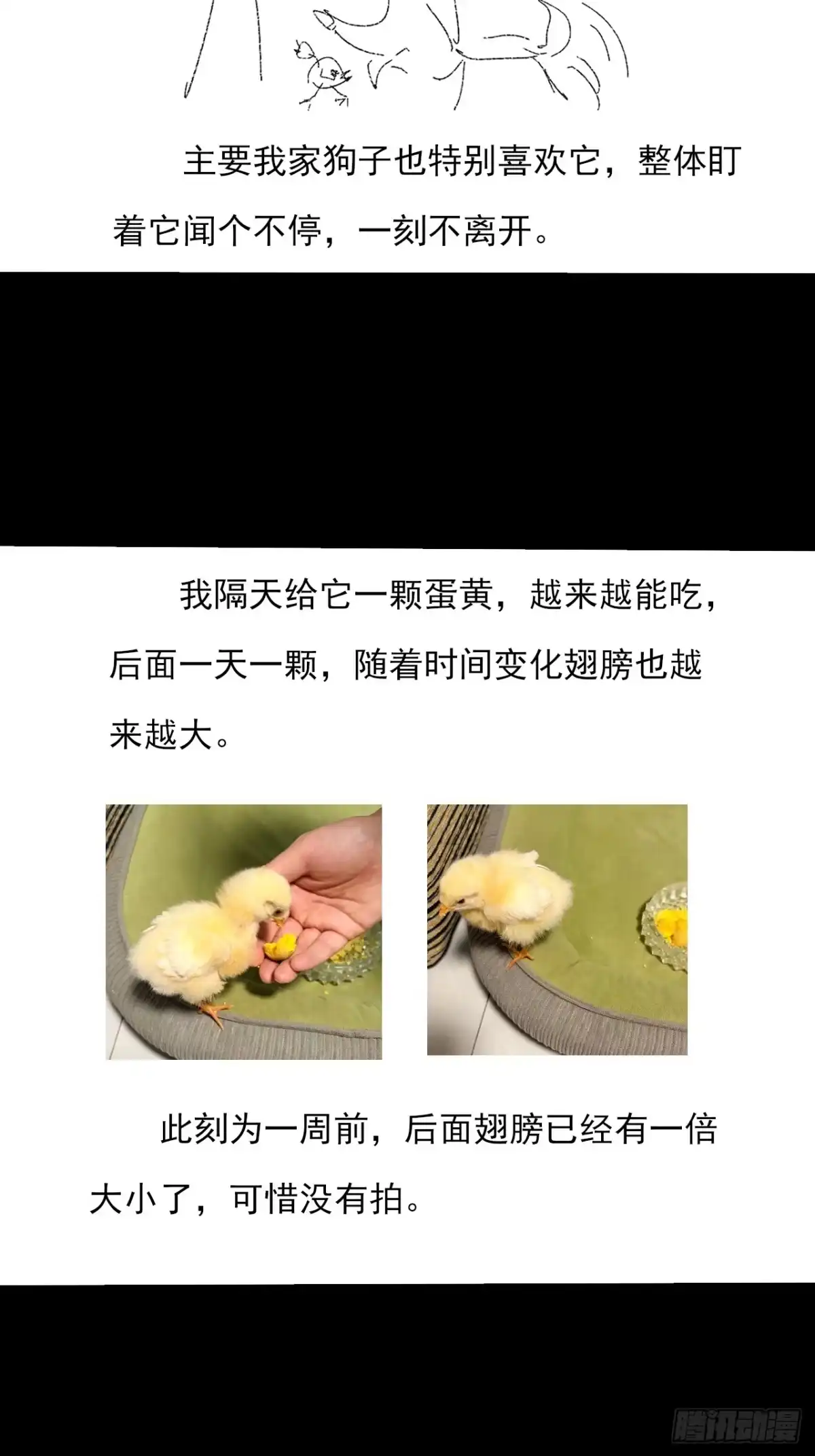 《诡浊仙道》第九十一章 六寺 第44页