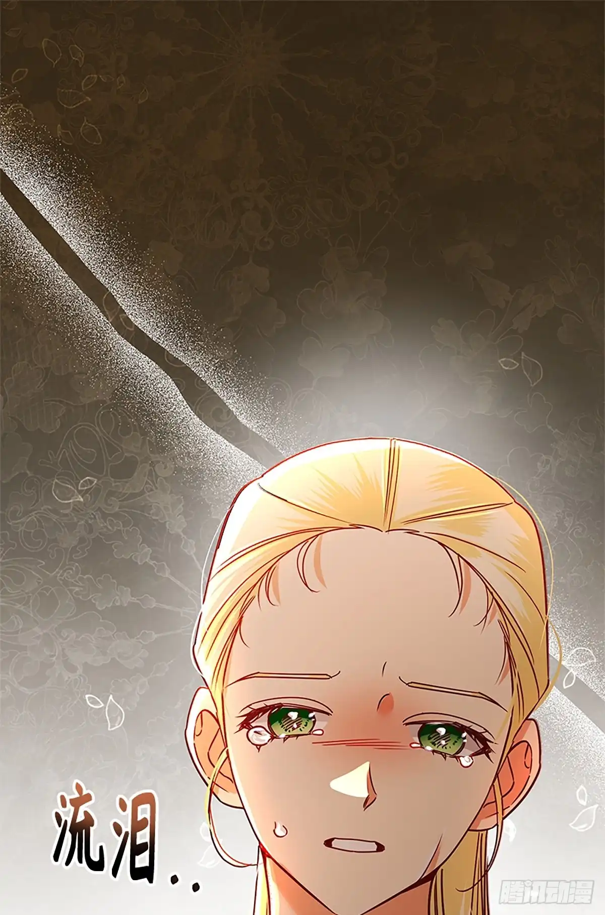 《贵族千金减肥记》第47话 第1页