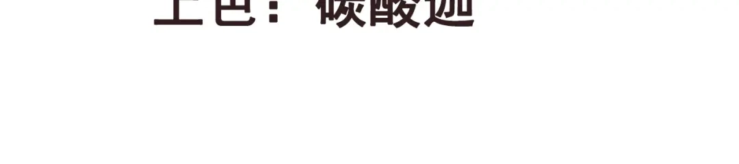 《国师大人，你节操掉了》第2话 和太子的婚事 第3页