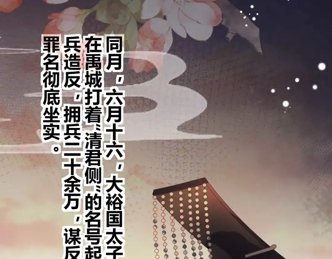 《国师大人，你节操掉了》第21话 抓我妹妹回来 第12页