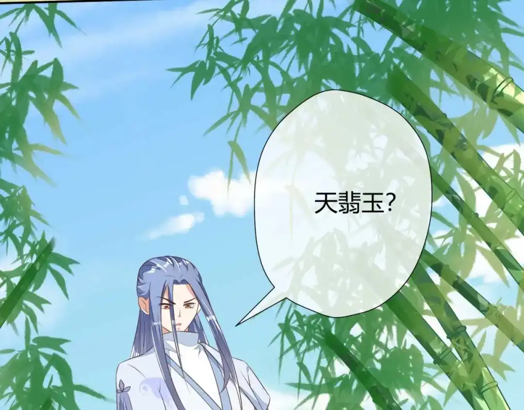 《国师大人，你节操掉了》第4话 天翡玉认主 第59页