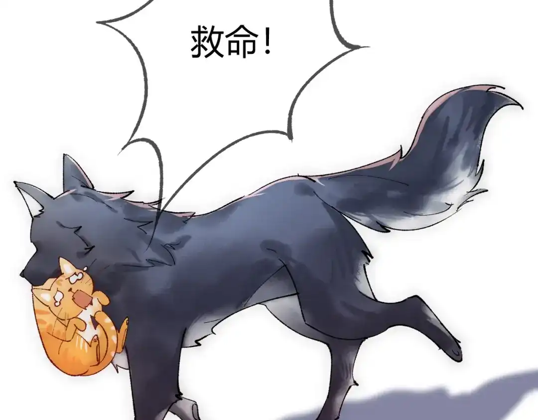 《国医狂妃》第43话 共度春宵 第51页
