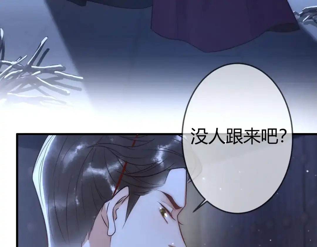 《国医狂妃》第49话 太子的阴谋 第30页
