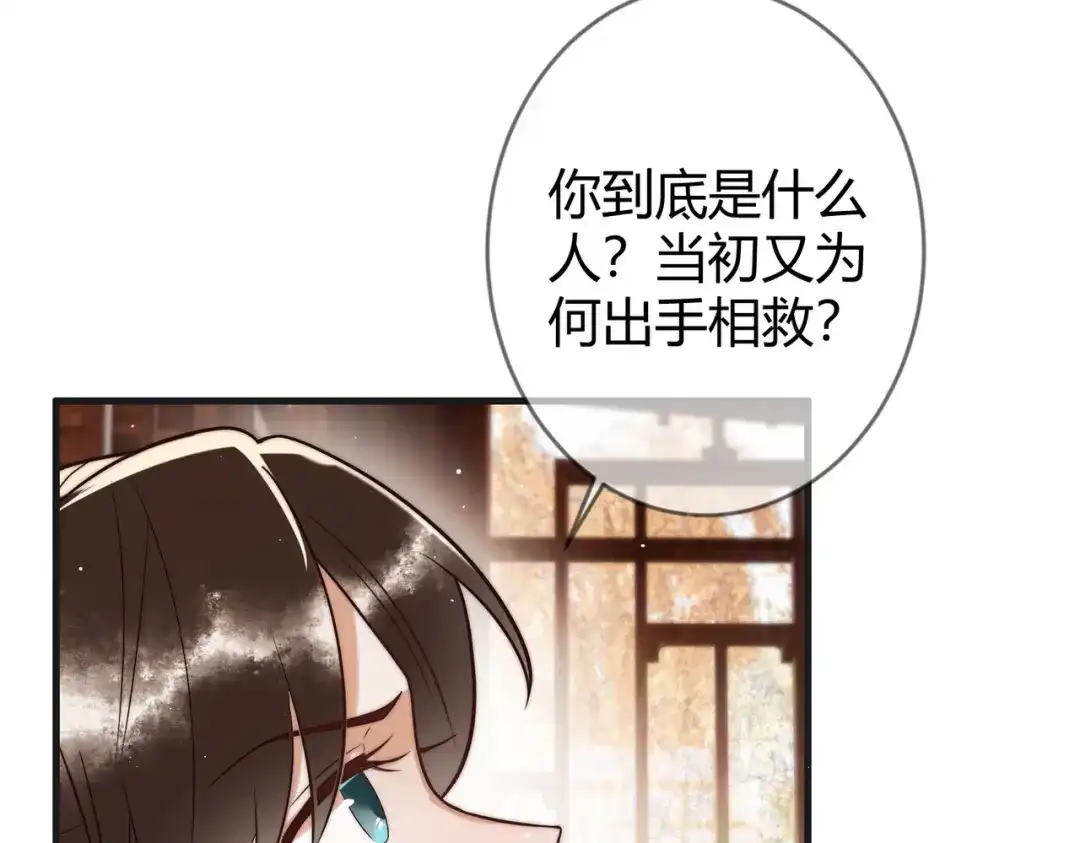 《国医狂妃》第60话 被绑架 第30页