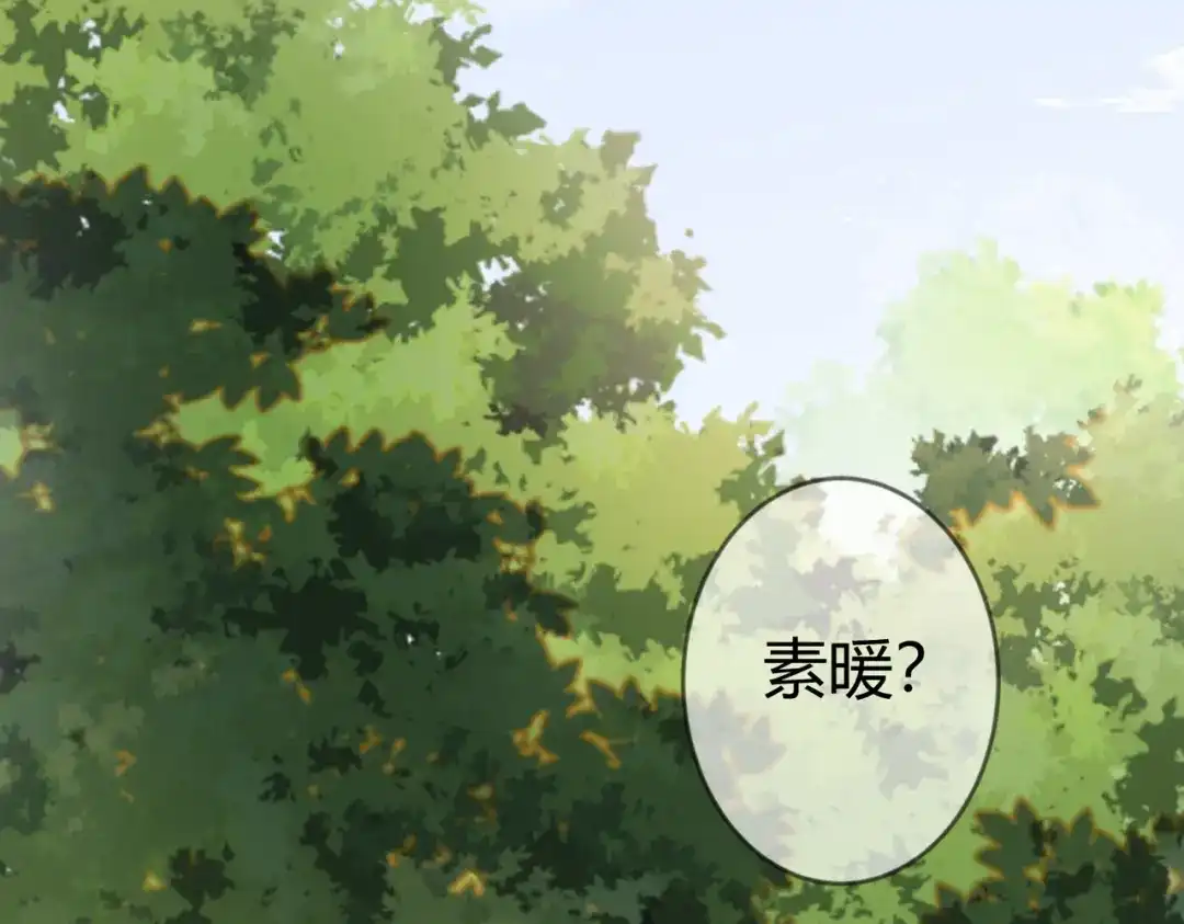 《国医狂妃》第63话 素暖被挟持 第12页