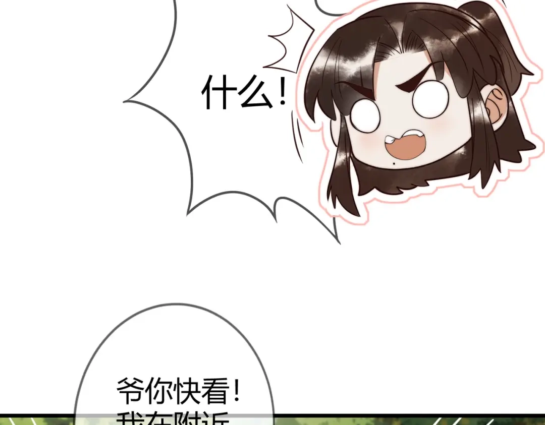 《国医狂妃》第64话 宫城哭了 第30页
