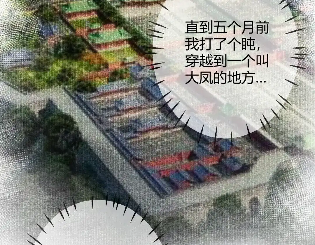 《国医狂妃》第74话 终于回来了 第48页