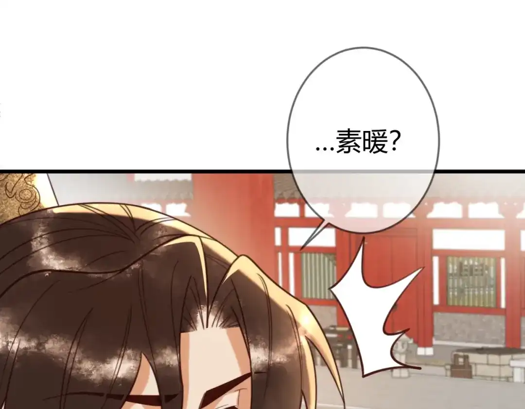 《国医狂妃》第75话 宫城不认素暖 第18页