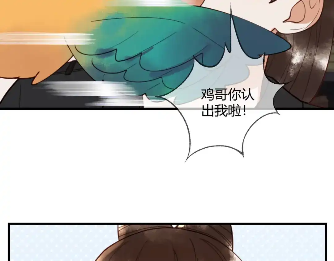 《国医狂妃》第76话 宫城要选妃 第82页