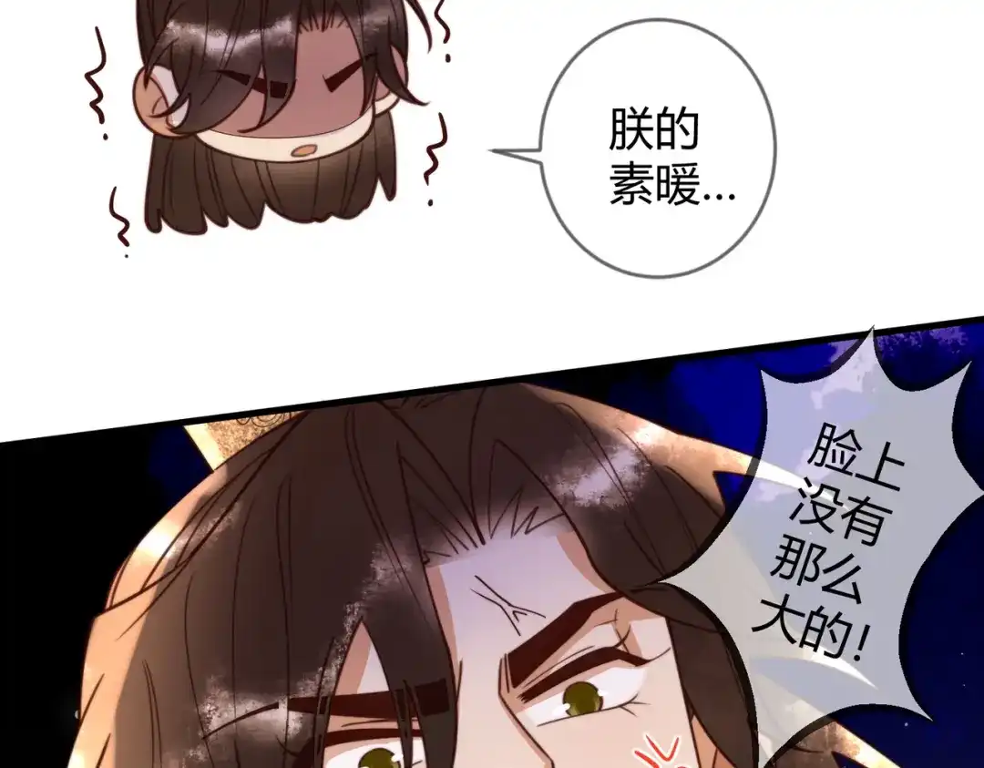 《国医狂妃》第83话 宫城被刺杀 第73页