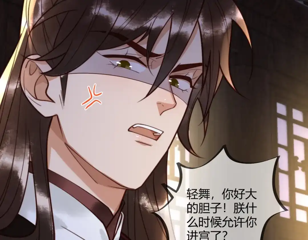《国医狂妃》第83话 宫城被刺杀 第30页