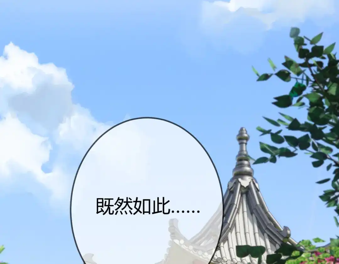 《国医狂妃》第96章 素暖跟踪被发现 第11页