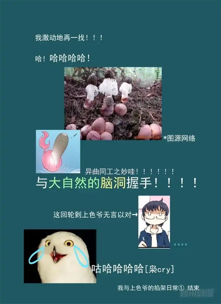 《古校夜游神》一章06 山灵袭阵 第17页