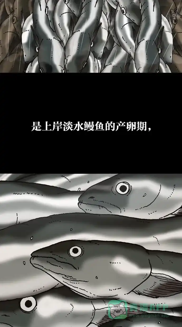 《海潮领域》第2季 第1话 第50页