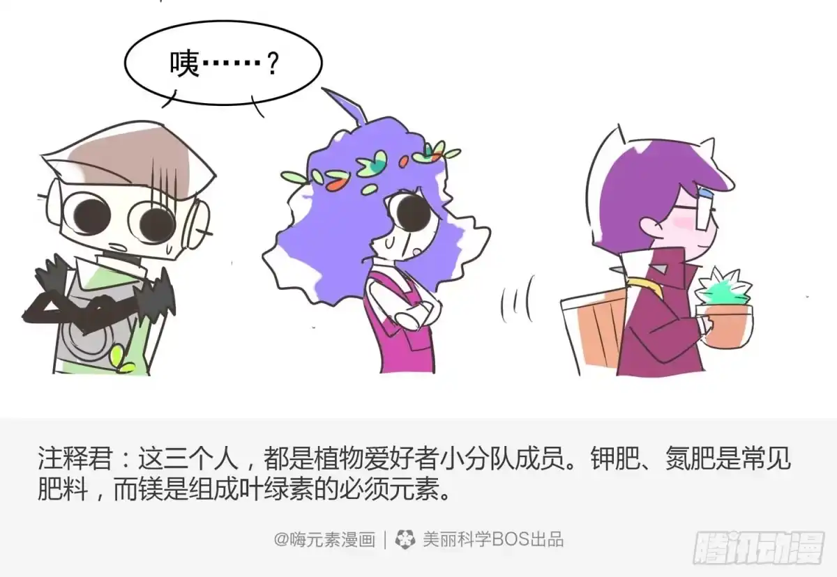 《嗨！元素小剧场》多肉爱好者的战争 第5页