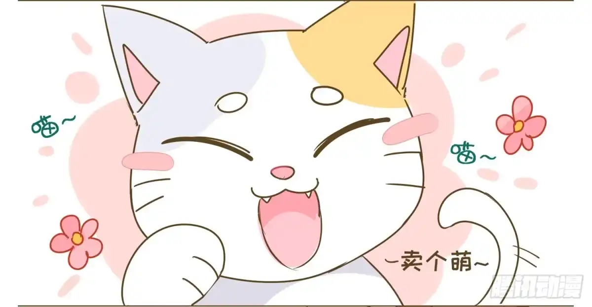 《嗨！元素小剧场》一只猫的滑铁卢Ⅰ 第3页