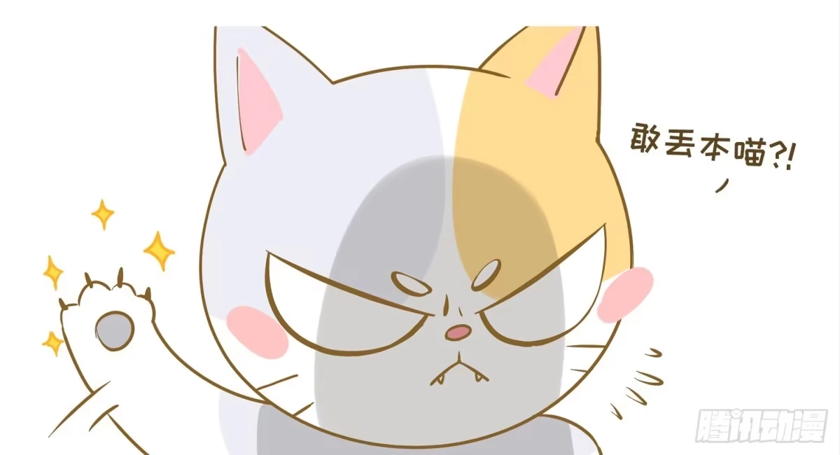 《嗨！元素小剧场》一只猫的滑铁卢Ⅰ 第2页