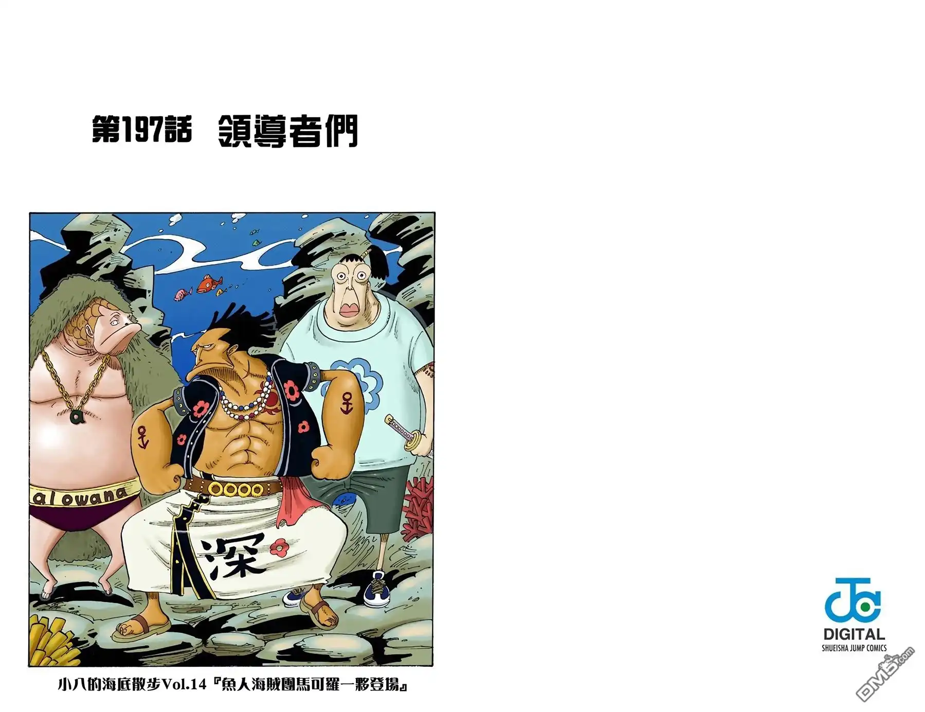 海贼王 全彩版22卷 第12页