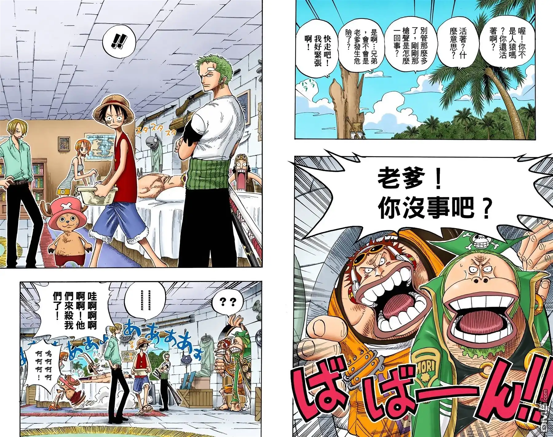 海贼王 全彩版25卷 第13页
