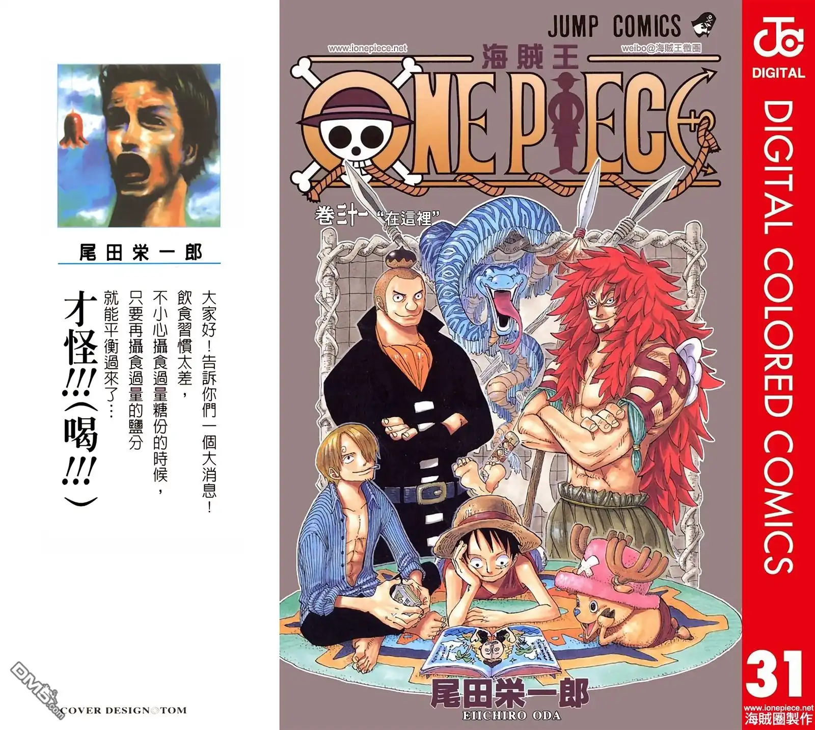 海贼王 全彩版31卷 第1页