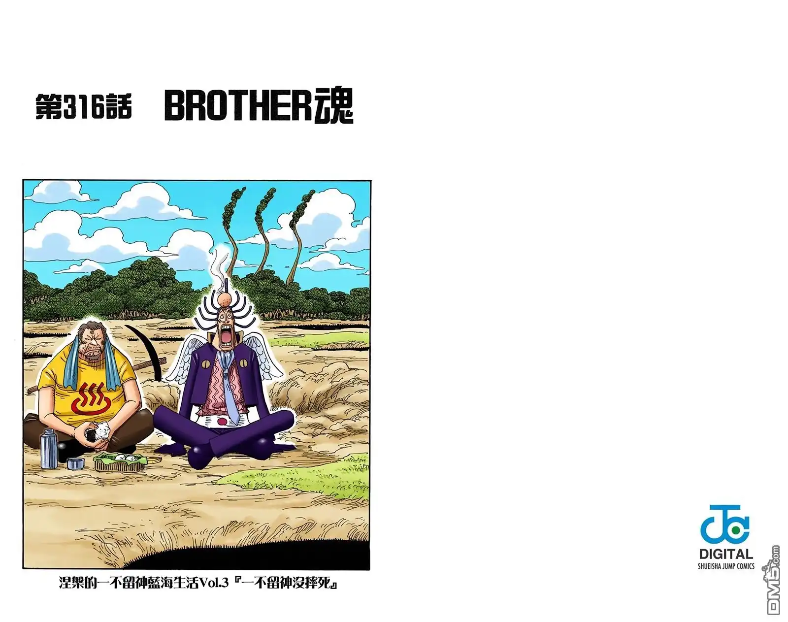 海贼王 全彩版33卷 第102页