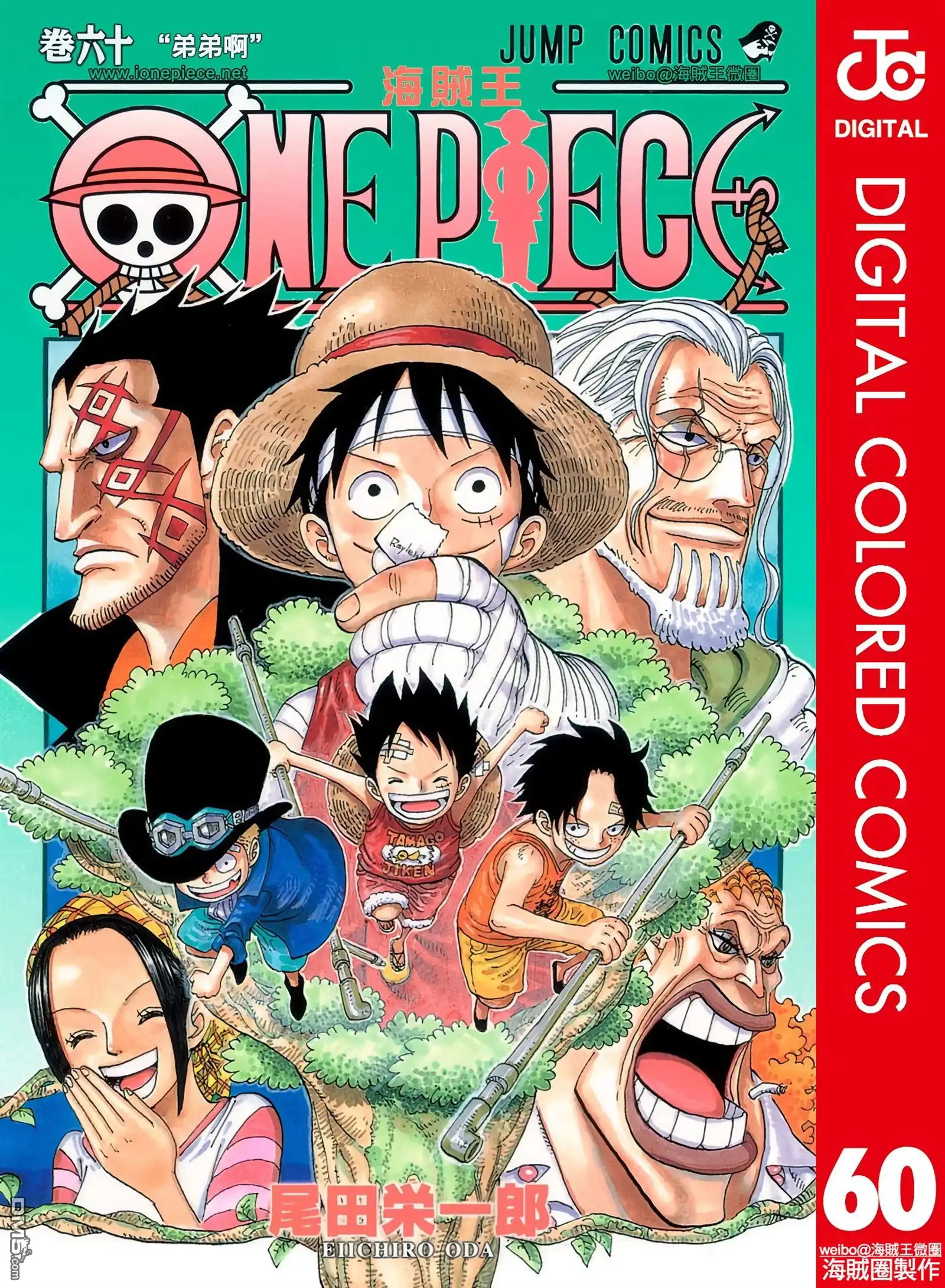 海贼王 全彩版60卷 第1页