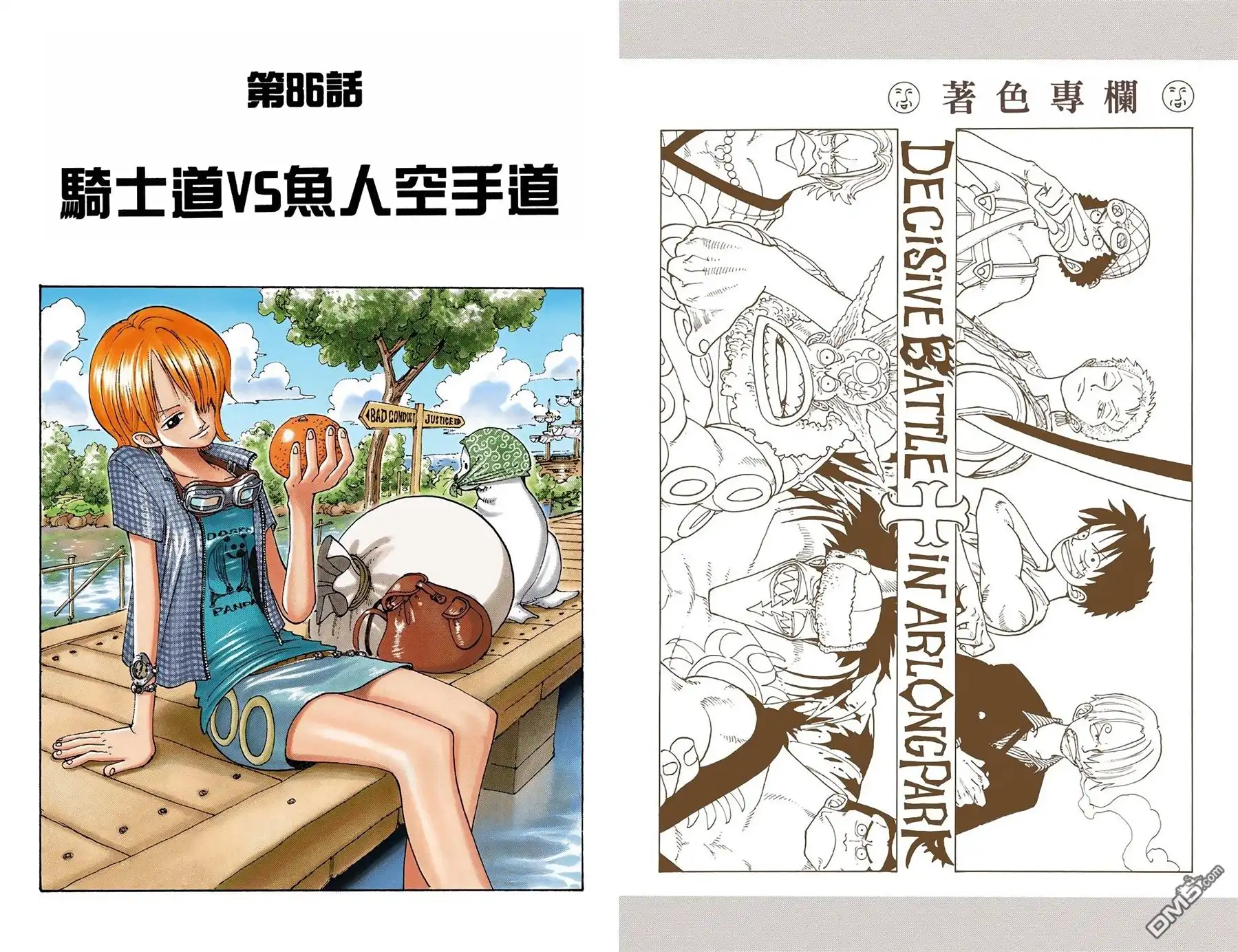 海贼王 全彩版10卷 第43页