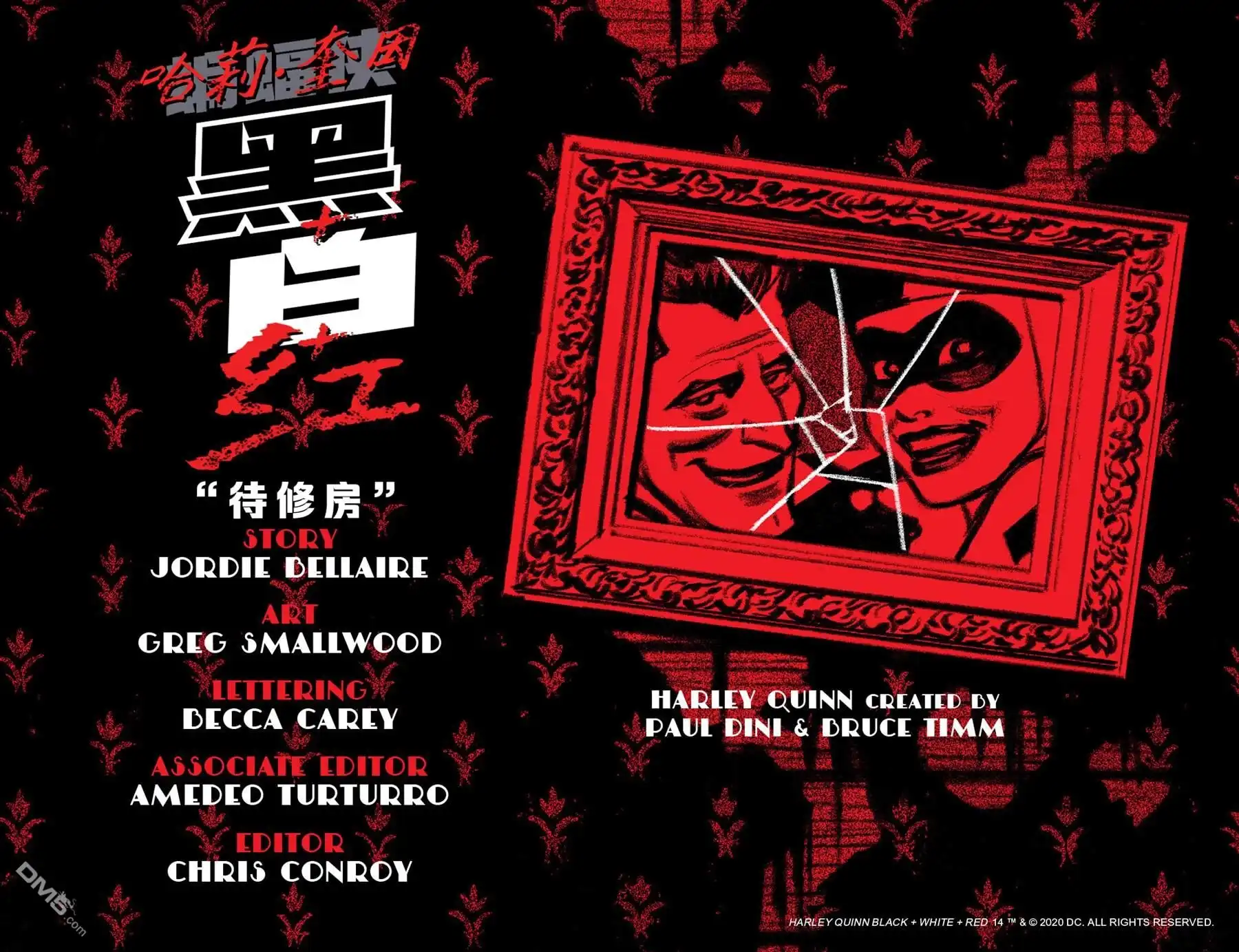 《哈莉·奎因：黑白红》第14话 第3页