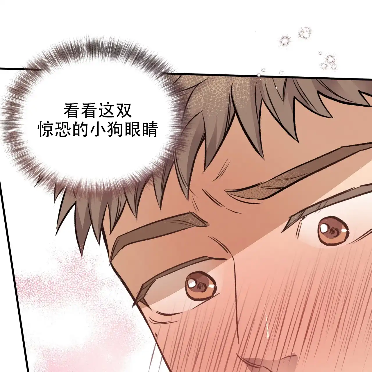 《哈尼熊》第29话 第49页