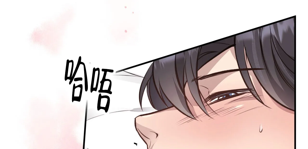 《哈尼熊》第36话 第2页