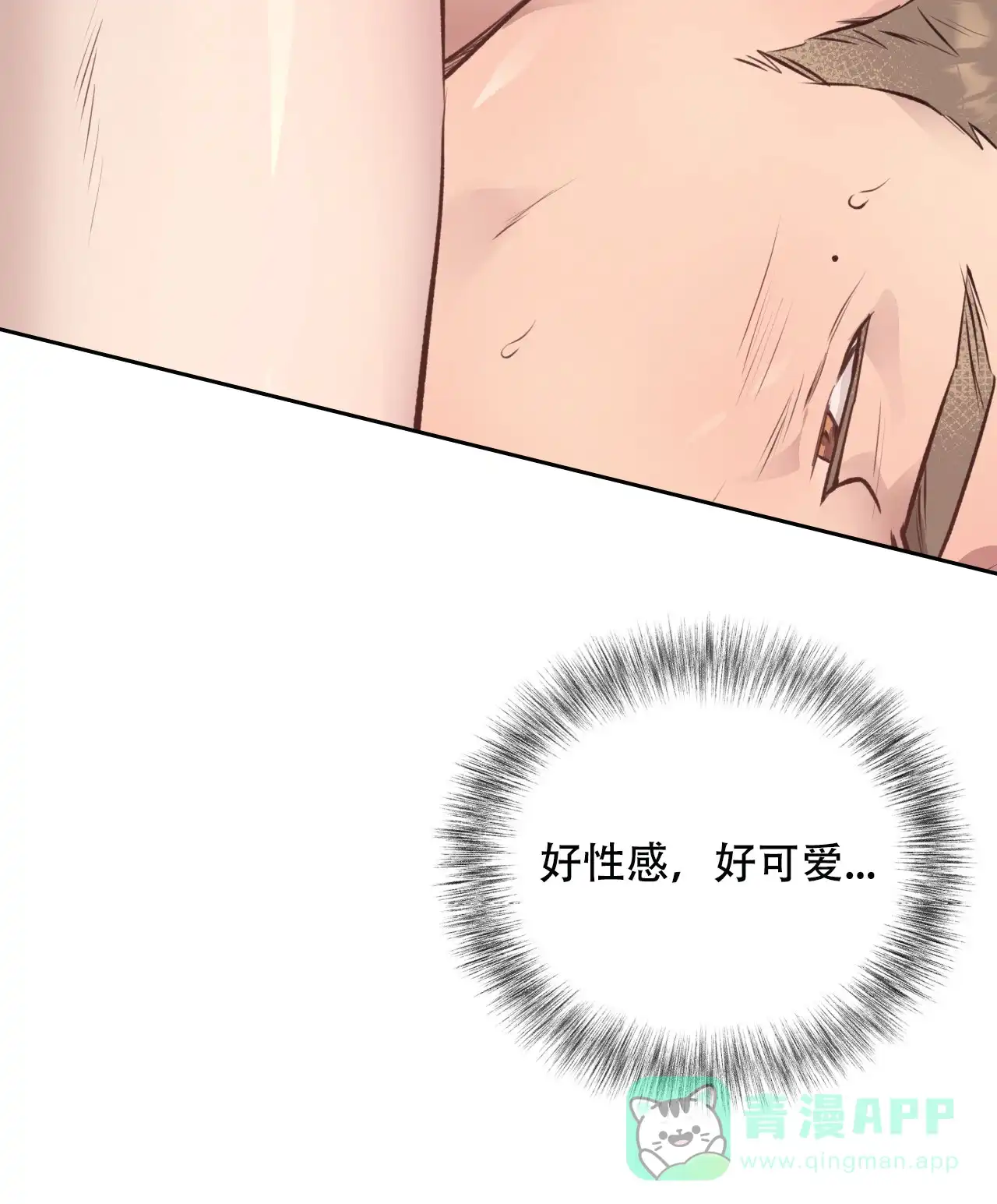 《哈尼熊》第37话 第16页