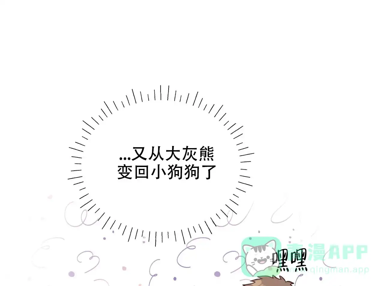 《哈尼熊》第38话 第1页