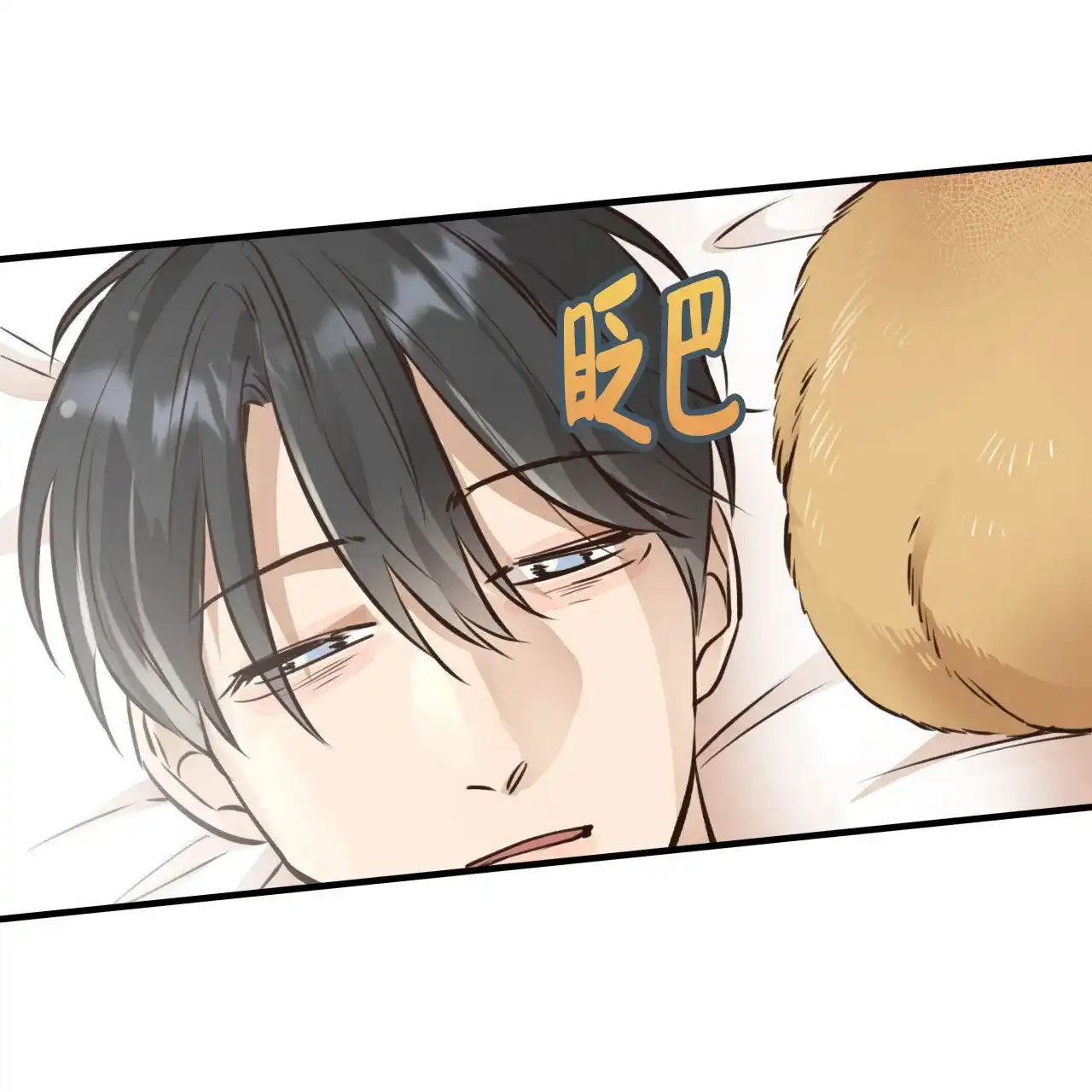 《哈尼熊》第54话 第25页