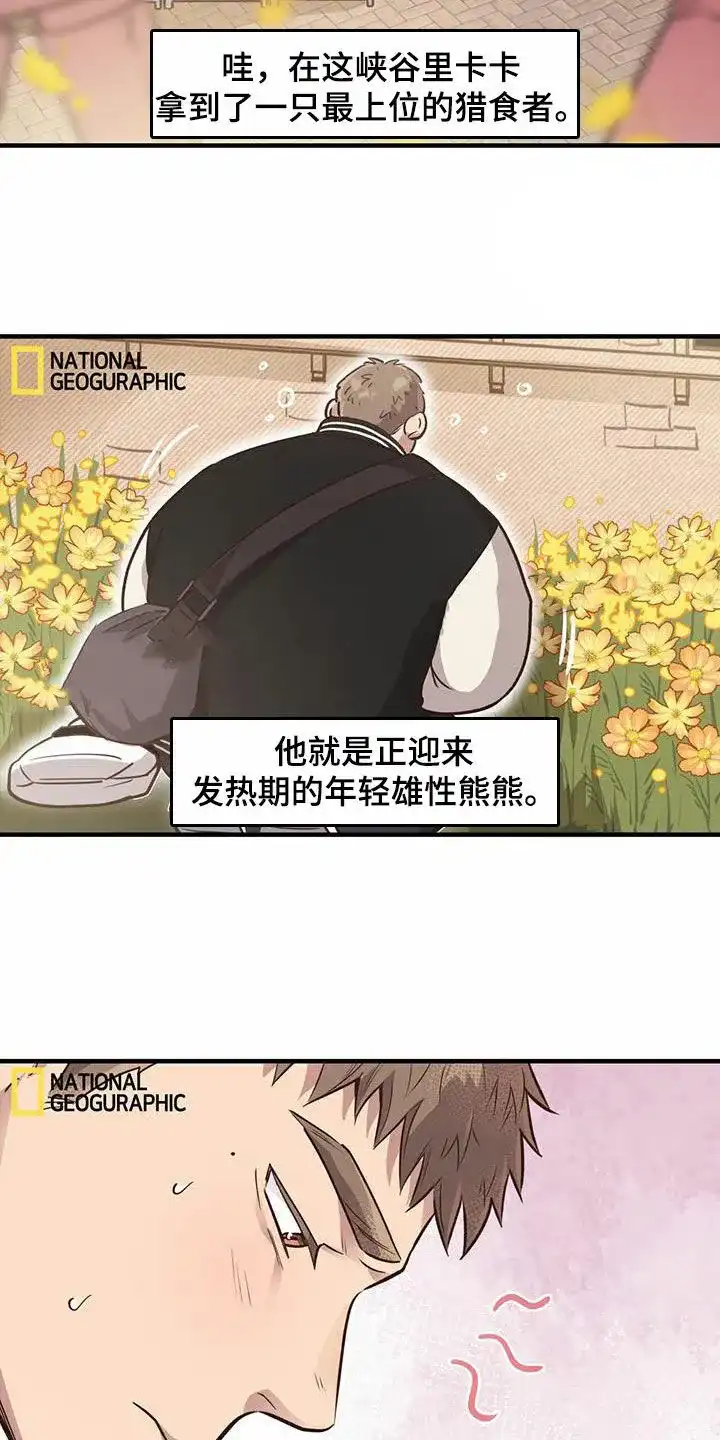 《哈尼熊》第59话 第4页