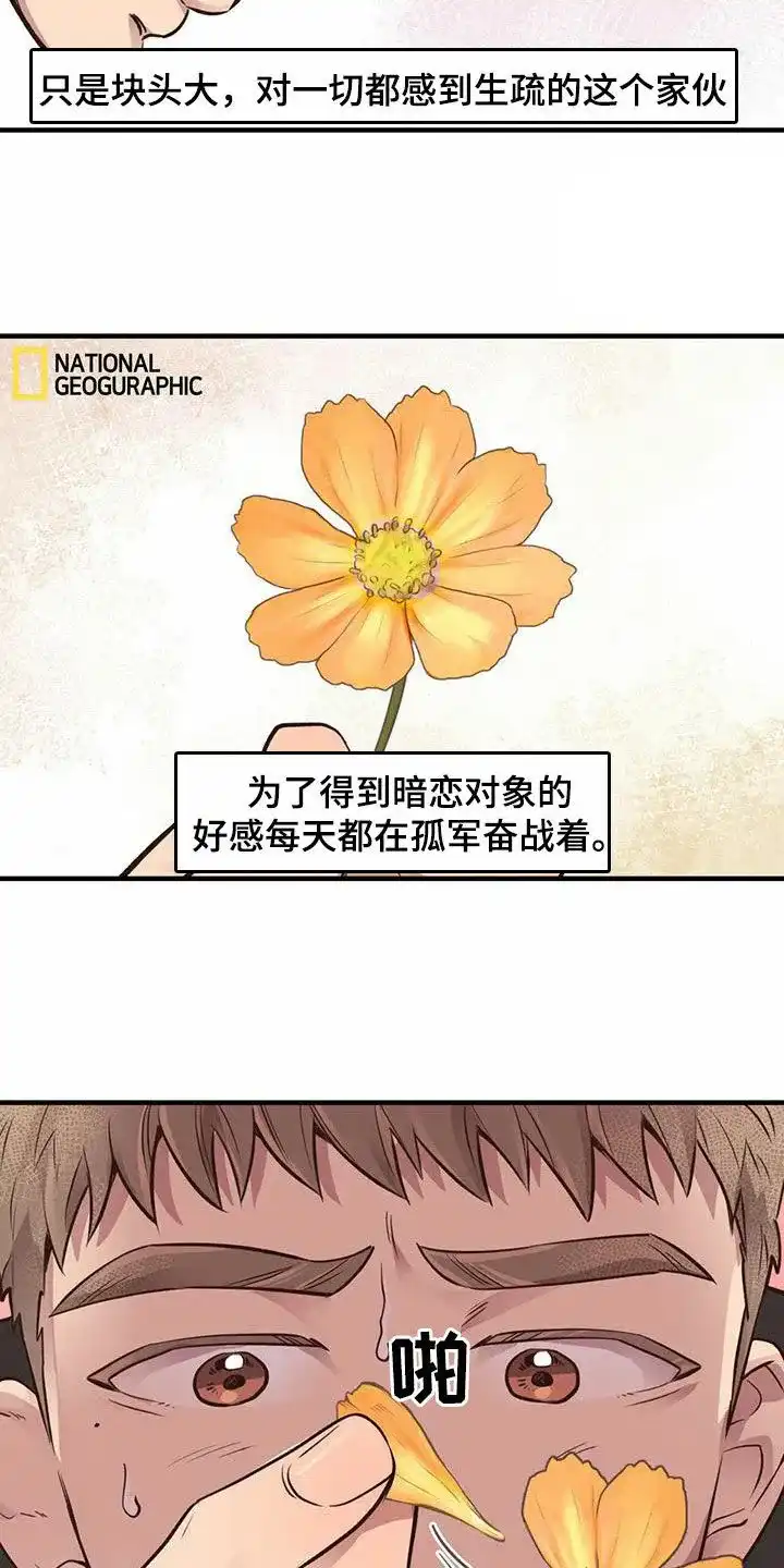《哈尼熊》第59话 第5页
