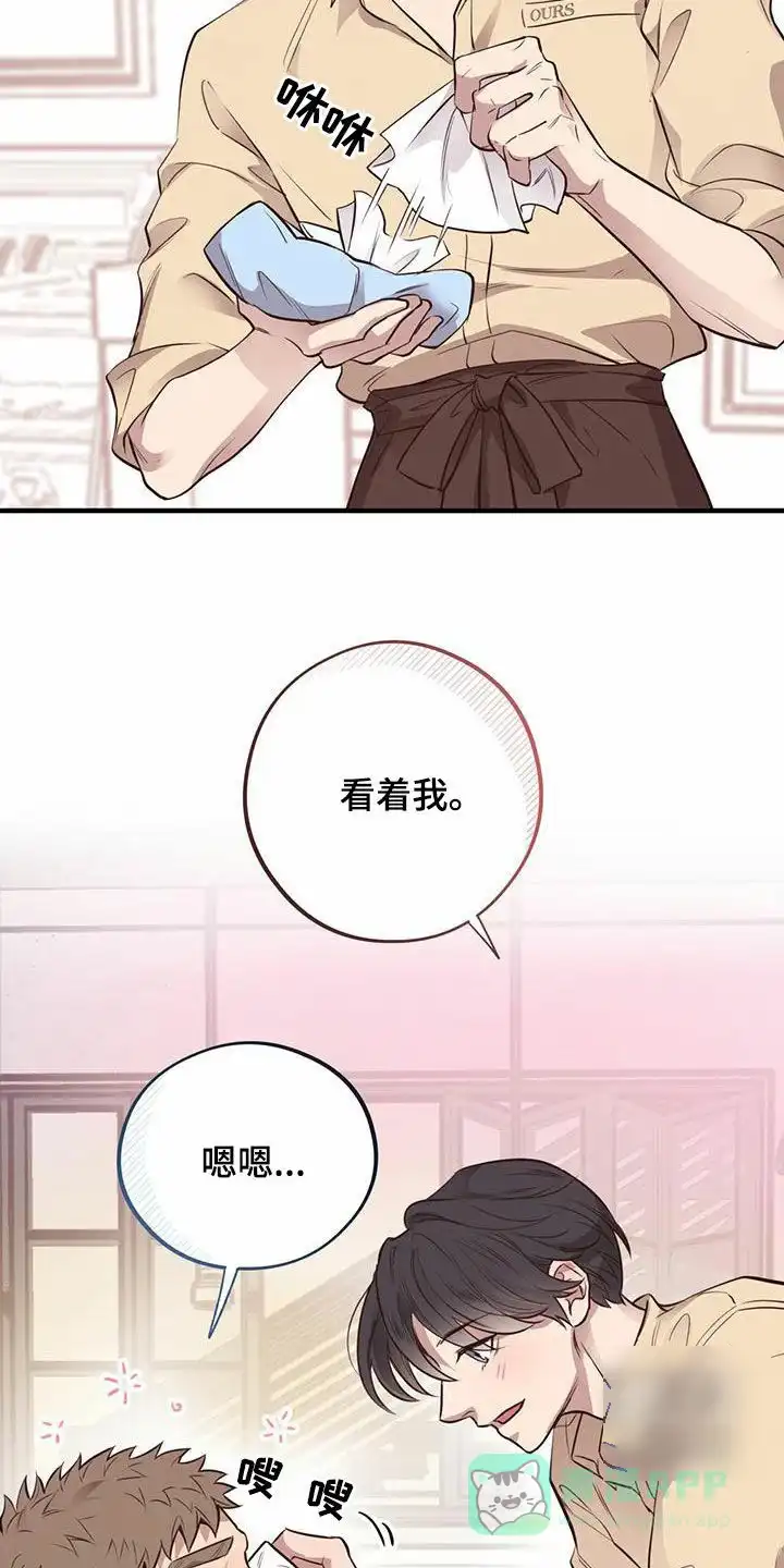 《哈尼熊》第61话 第11页