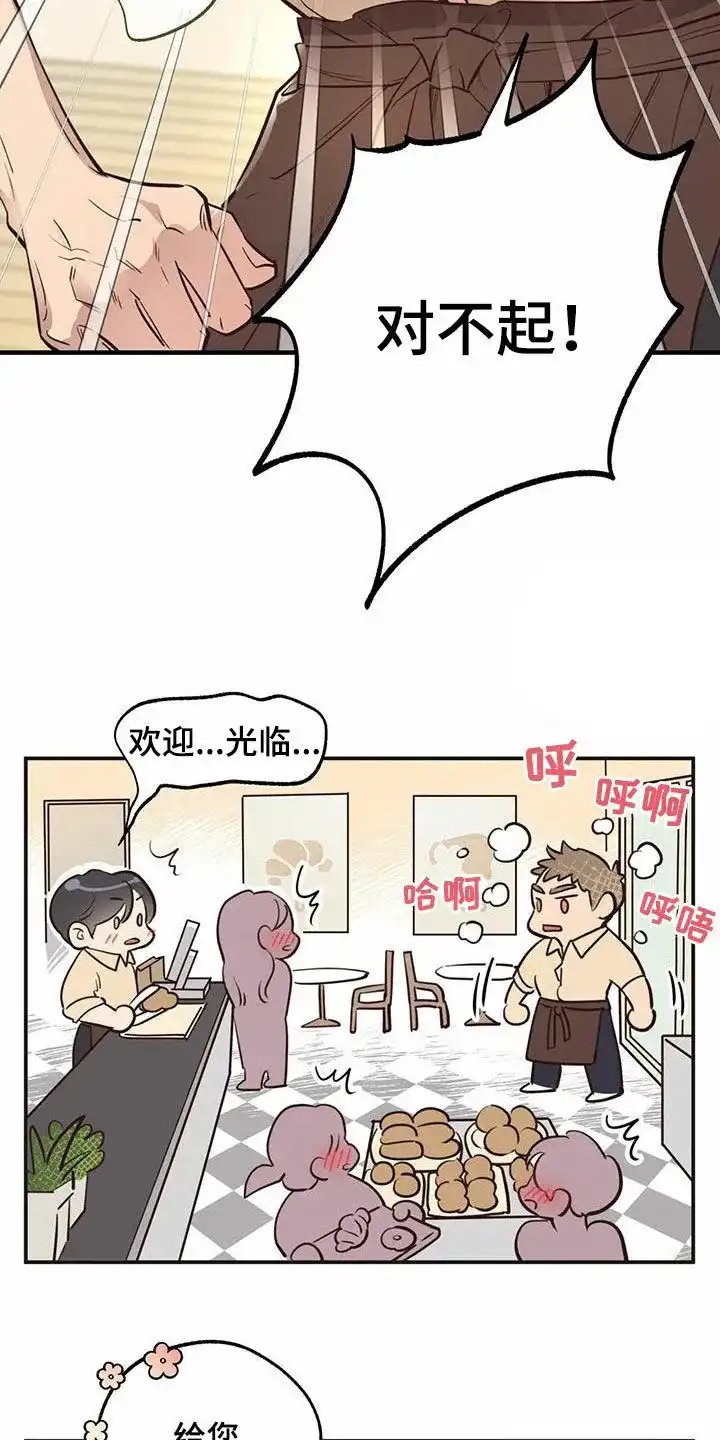 《哈尼熊》第62话 第33页