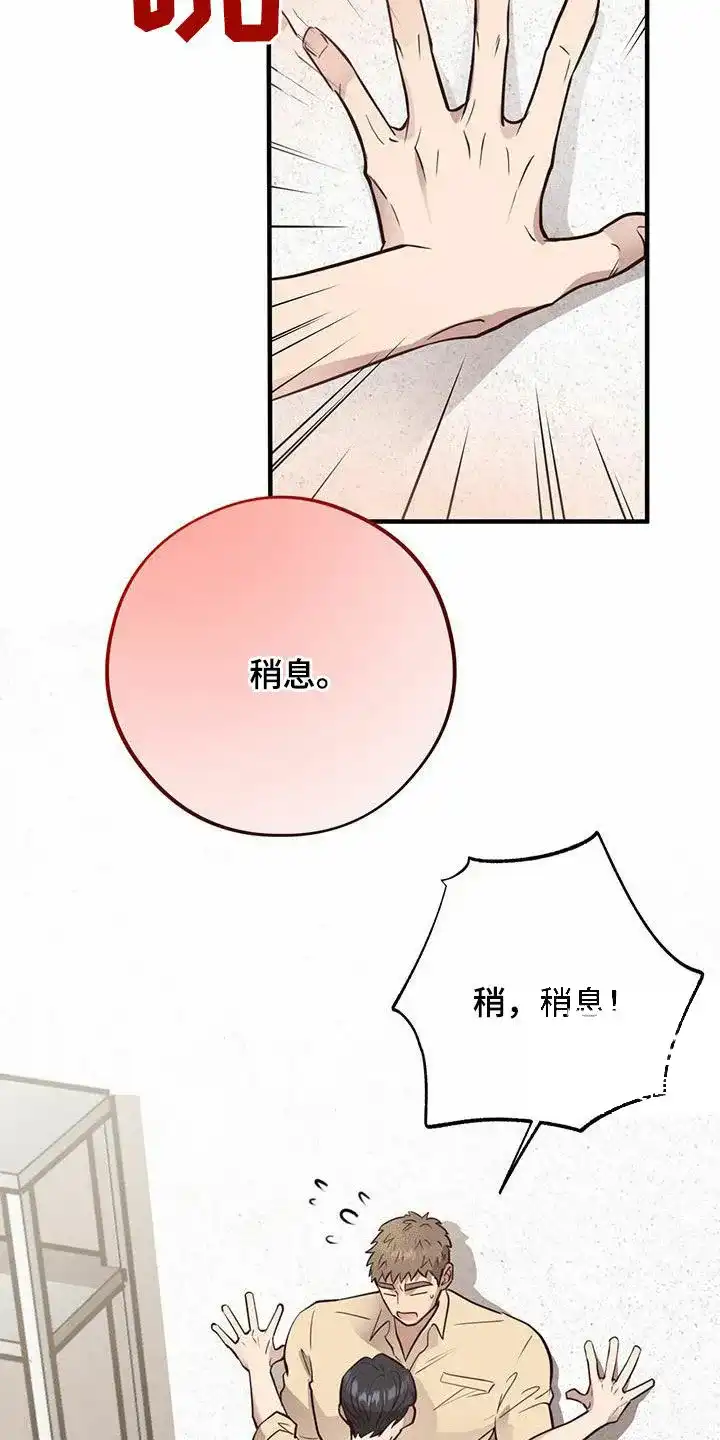 《哈尼熊》第62话 第37页