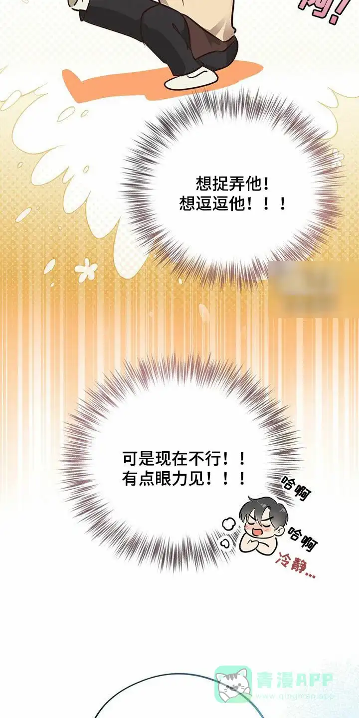 《哈尼熊》第62话 第6页