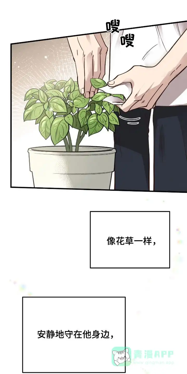 《哈尼熊》第63话 第1页