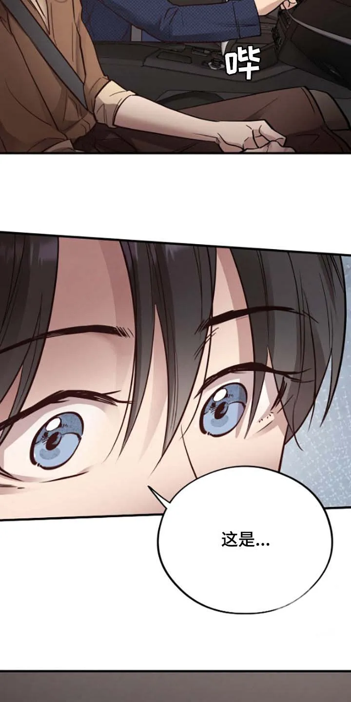 《哈尼熊》第67话 第17页