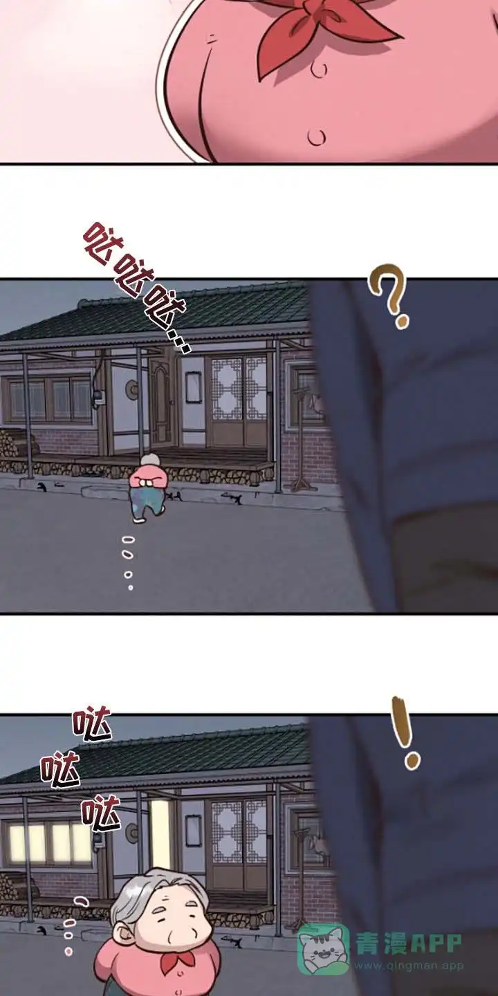《哈尼熊》第67话 第36页